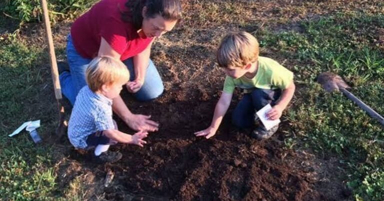 7-healthy-soil-habits-that-can-transform-your-garden-for-good (2)