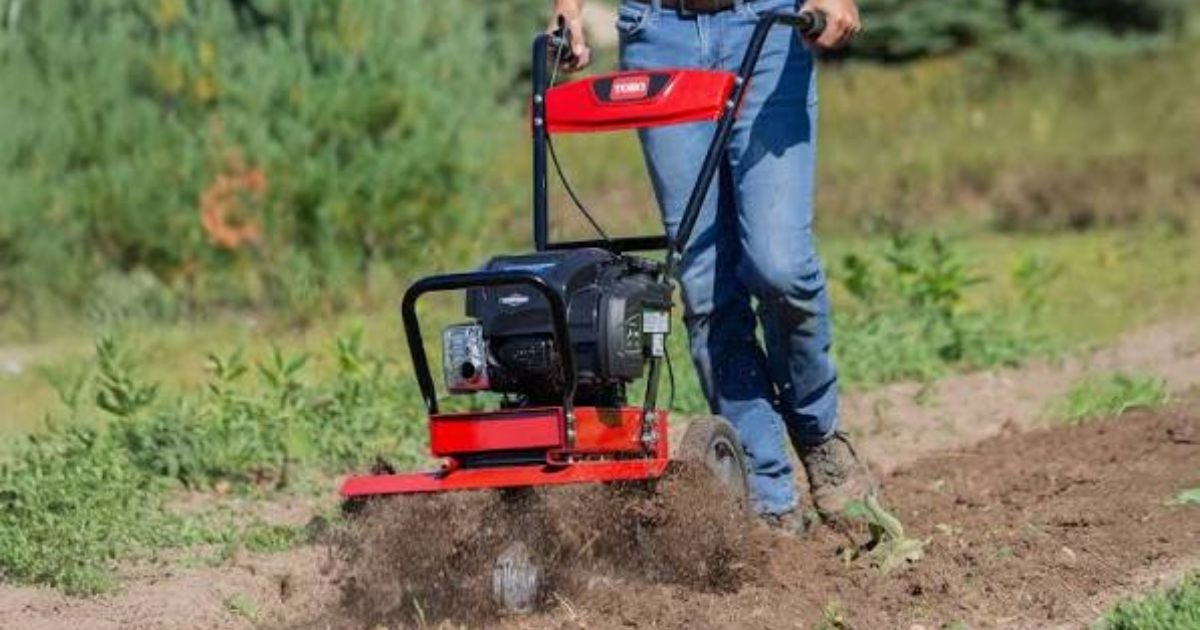 add-organic-matter-to-feed-your-soil-naturally (3)