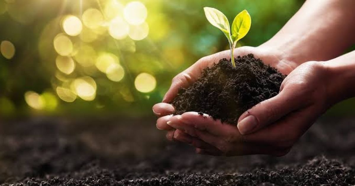 add-organic-matter-to-feed-your-soil-naturally
