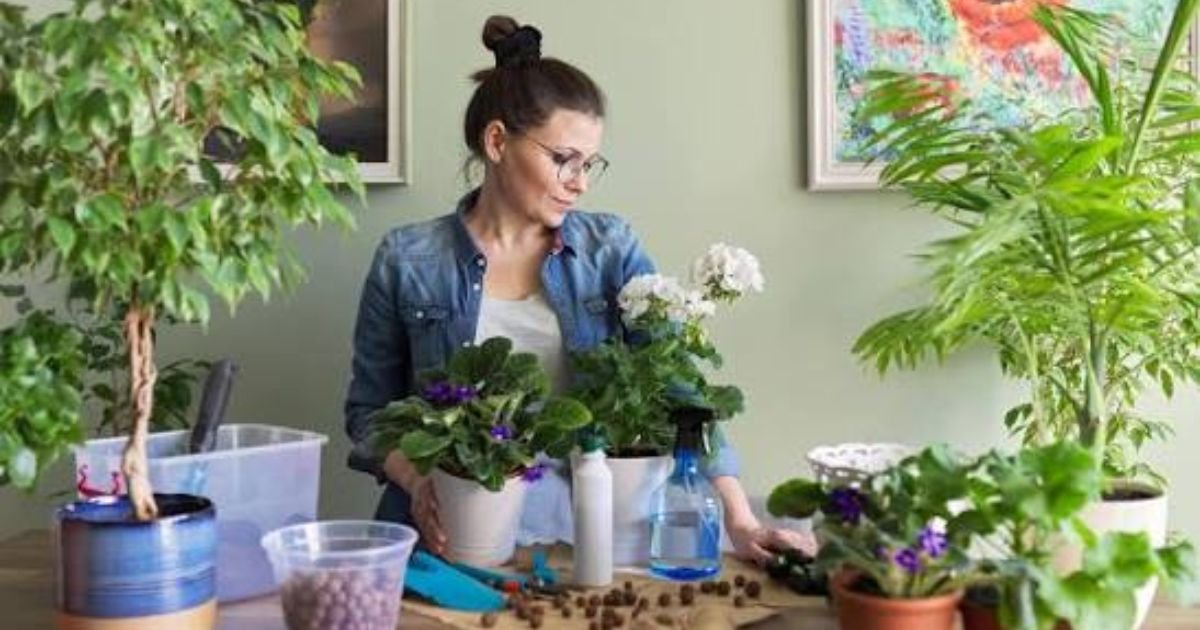 A person gently touching a yellowing leaf on a potted houseplant, examining it closely to check for signs of overwatering or nutrient deficiency.