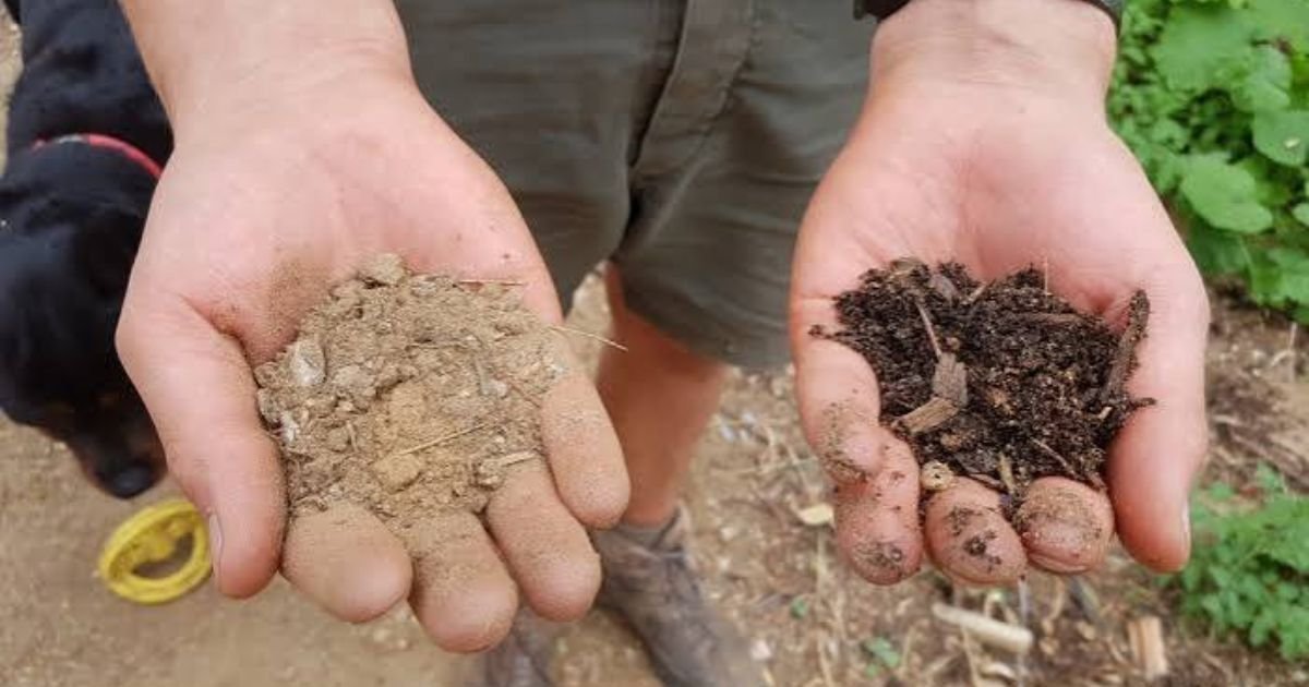observe-your-soil-and-improve-it-over-time