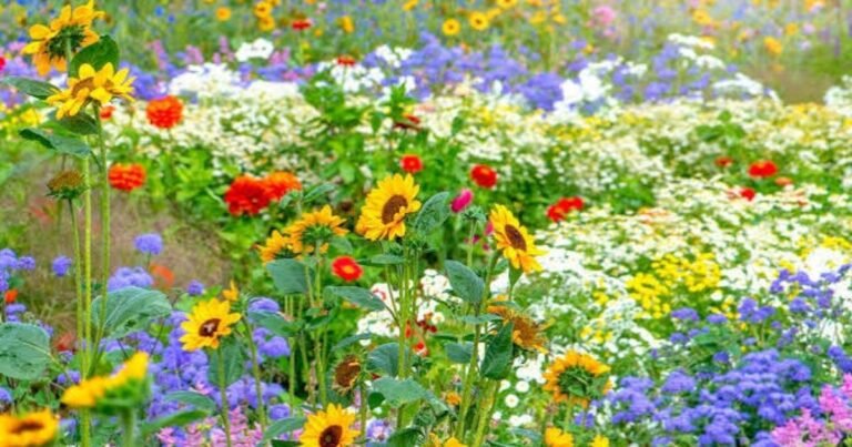 A vibrant, lush backyard garden filled with blooming colorful flowers, neatly arranged raised vegetable beds, and a clean stone pathway.